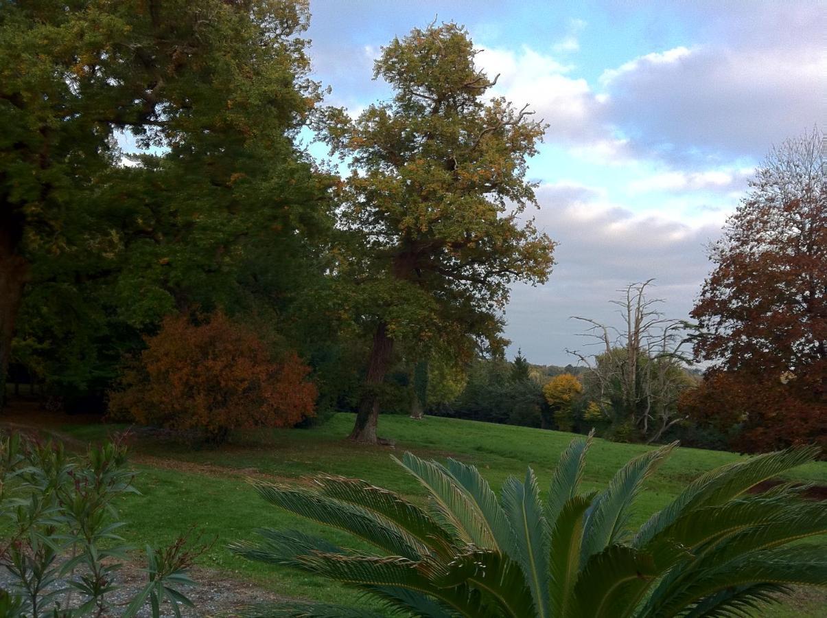 La Suite Venise Au Chateau De Saint-Andre Mareuil-sur-Lay Extérieur photo